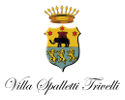 Logo Villa Spalletti Trivelli